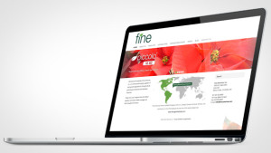 Fine Americas Launches New Website