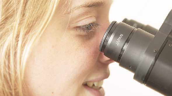 Young Agriculture Scientists Vie For, Score Seed Money