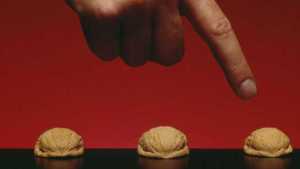 Walnuts May Improve Memory