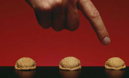 Researchers Crack Walnut Genome