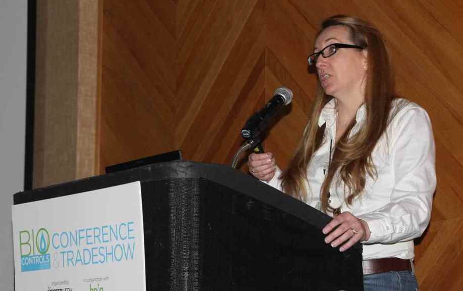 Using Beneficial Insects In Greenhouses