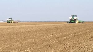 Vegetable Growers Highlight Success With Precision Ag Technology