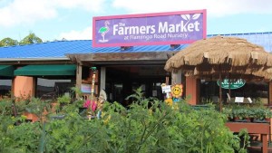 Grants For Local Food Systems Available