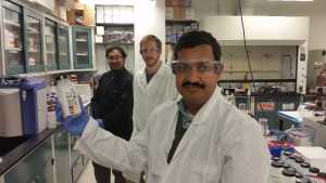 Researchers Mine Nanotechnology To Help Conquer Citrus Canker