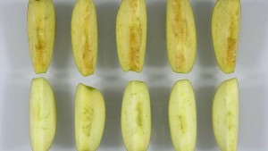 GMO Nonbrowning Fuji Apple One Step Closer To Approval