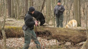 USDA Uses Man’s Best Friend To Track Stink Bug