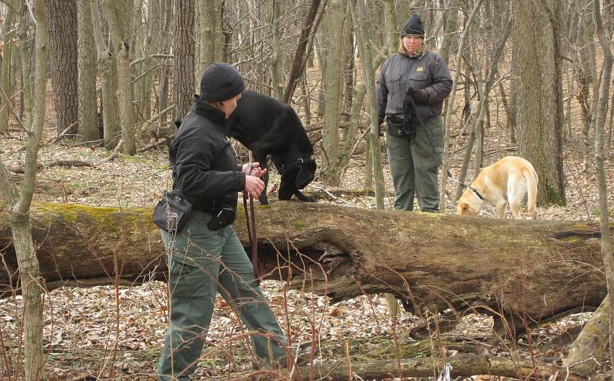 USDA Uses Man’s Best Friend To Track Stink Bug