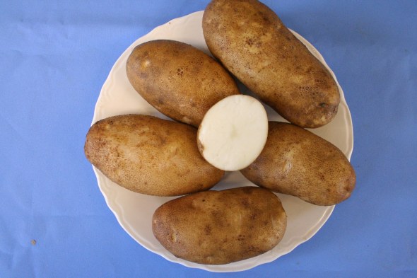 New Dual-Purpose Potato Variety Released