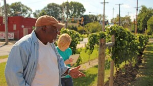 From Riots To Vineyard — A Story of Urban Revival