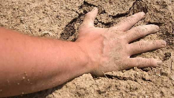 Disaster Area Declared For New York, New Hampshire Counties Due To Dry Conditions