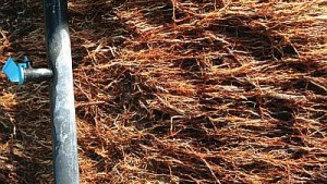 Why You Should Use Low-Rate Applications Of Potassium