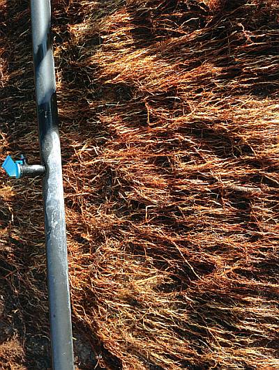 Why You Should Use Low-Rate Applications Of Potassium