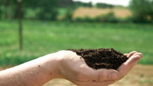 Why Soil Health Should Matter To You