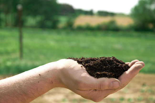 Why Soil Health Should Matter To You