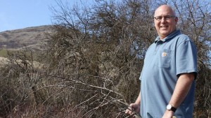 Two More Lost Apple Varieties Found In Steptoe Butte