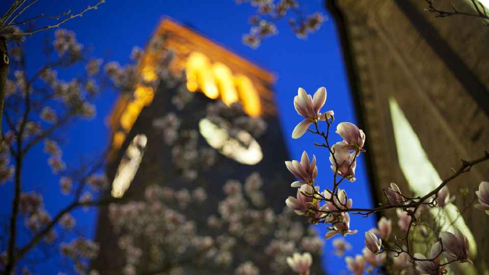 2027 Ranking for the Top U.S. Colleges in Agricultural Sciences