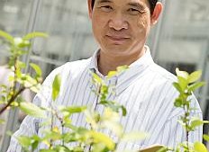 A Breakthrough In Biotechnology And The Future Of The Fruit Industry