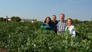 Urban Sprawl Doesn’t Stop 4th-Generation Florida Farm From Growing