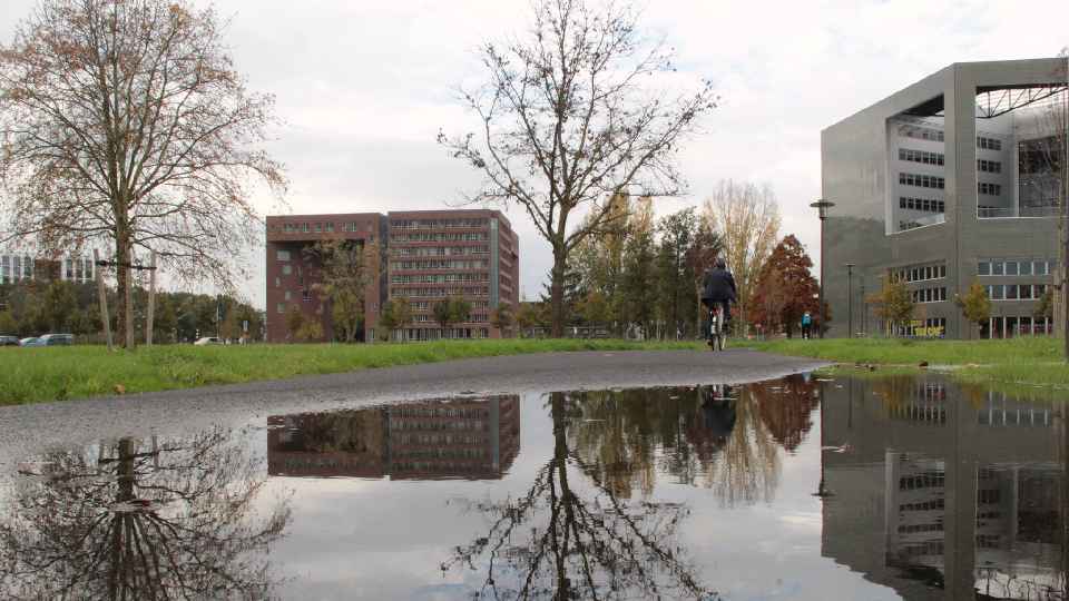 3. Wageningen University (Netherlands)