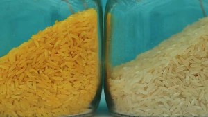 More Social Commentators Changing Their Views On GMO Crops