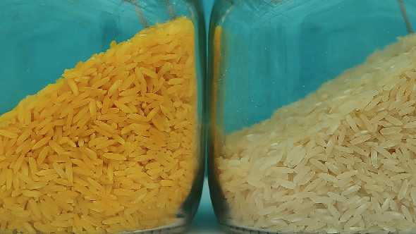 Anti-GMO-Fueled Threats Force Reallocation Of Biotech Education Funds