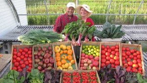 Small Family Farms Can Survive [Opinion]