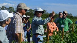 How Farming’s Deep Roots Can Inspire Job Appreciation
