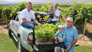 Inland Desert Nursery Is Main Source For Washington’s Clean Vines