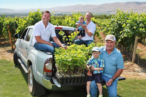 Inland Desert Nursery Is Main Source For Washington’s Clean Vines