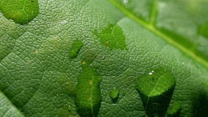 Little Let-Up In South Florida’s Wettest Winter On Record