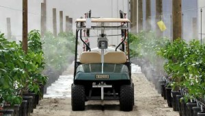 Interest Continues To Grow In Protected Citriculture