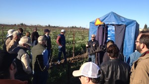 Cutting Down on Biggest Grape Growing Expense