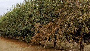 Minor Variations Are The X-Factor In Spray Applications