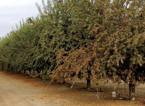 Minor Variations Are The X-Factor In Spray Applications