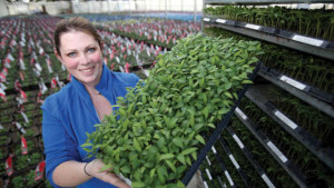GenNext Growers Taking Marketing To The Next Level