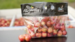 Stemilt To Release New Cherry Variety Called Skylar Rae