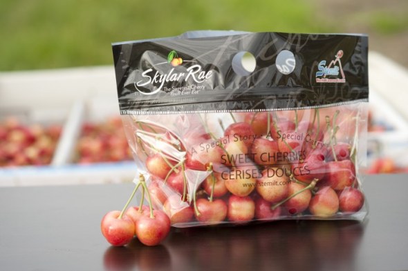 Stemilt To Release New Cherry Variety Called Skylar Rae