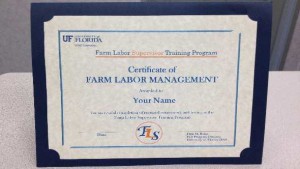 Florida Growers Working Toward Safety And Equality