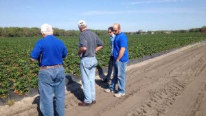Florida BMPs Program Racks Up More Successes