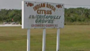 Crisafulli Citrus Matriarch Passes Away At 98