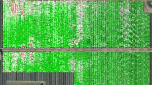 Unlocking the Potential of Imaging for Agricultural Producers