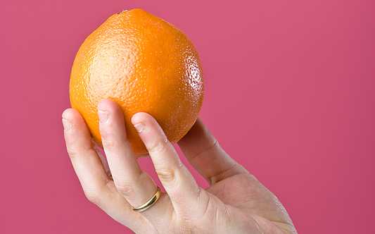 Neglected Research, Future Growers Top Of Mind For 2015 Citrus Achievement Award Winner