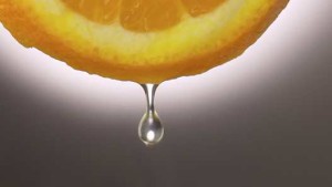 Feeling The Squeeze, Florida Citrus Taking Stock Of Future