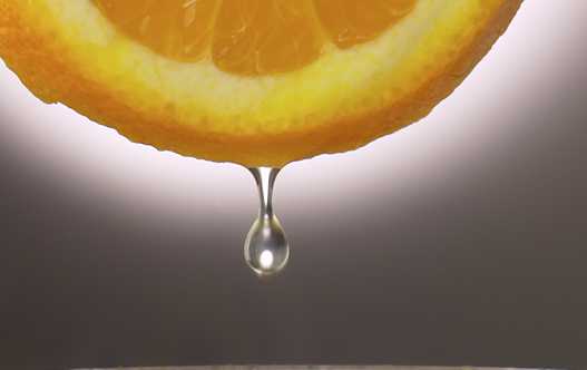 Florida Legislative Session Bittersweet For Citrus