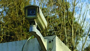 Tips To Prevent Theft At Your Farm Market