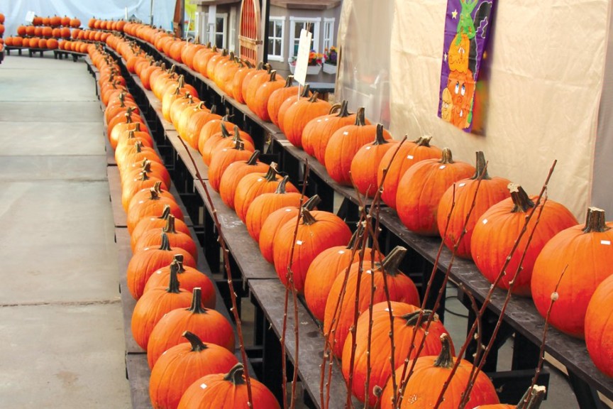 10. Pumpkins (47%) - TRENDING UP