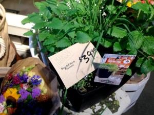 8. Consumer-Friendly Combo Gardens