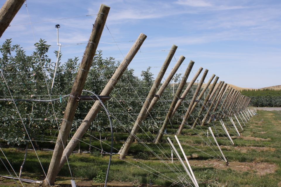 A Reckoning for Washington State Agriculture