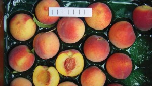 The Strong Staying Power Of The Redhaven Name In Peaches