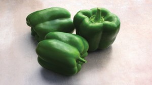 4 Primo Peppers Suited For The Florida Marketplace